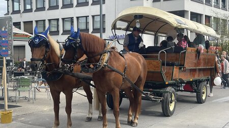 Aarau wird zum Bauernhof | © Guidle AG